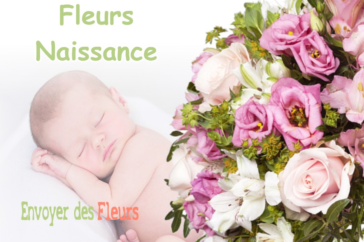 lIVRAISON FLEURS NAISSANCE à VILLECHANTRIA