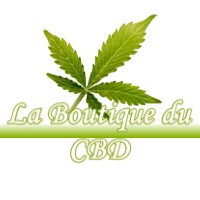 LA BOUTIQUE DU CBD VILLECHANTRIA 